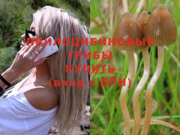 mdma Белокуриха