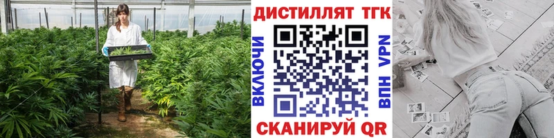 дарнет шоп  Онега  Дистиллят ТГК концентрат 