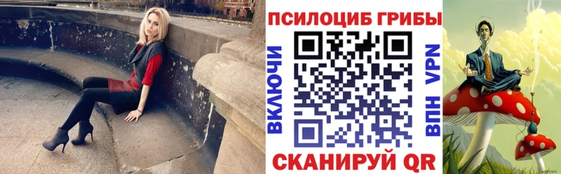 blacksprut ссылки  Онега  Псилоцибиновые грибы Psilocybine cubensis 